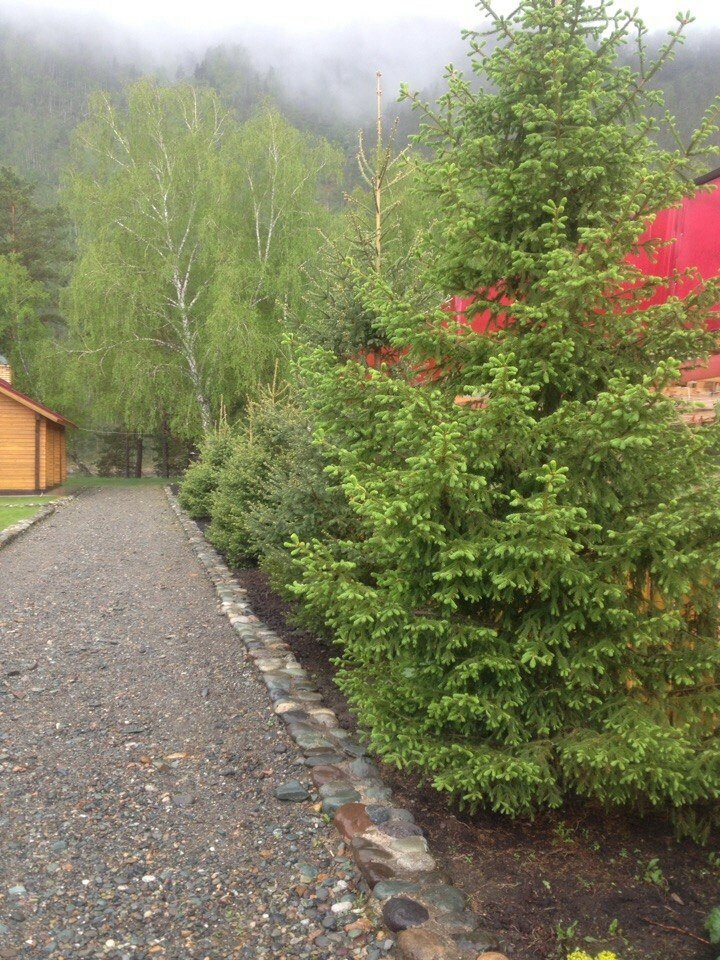 Гостиница Усадьба Славная Чепош-120