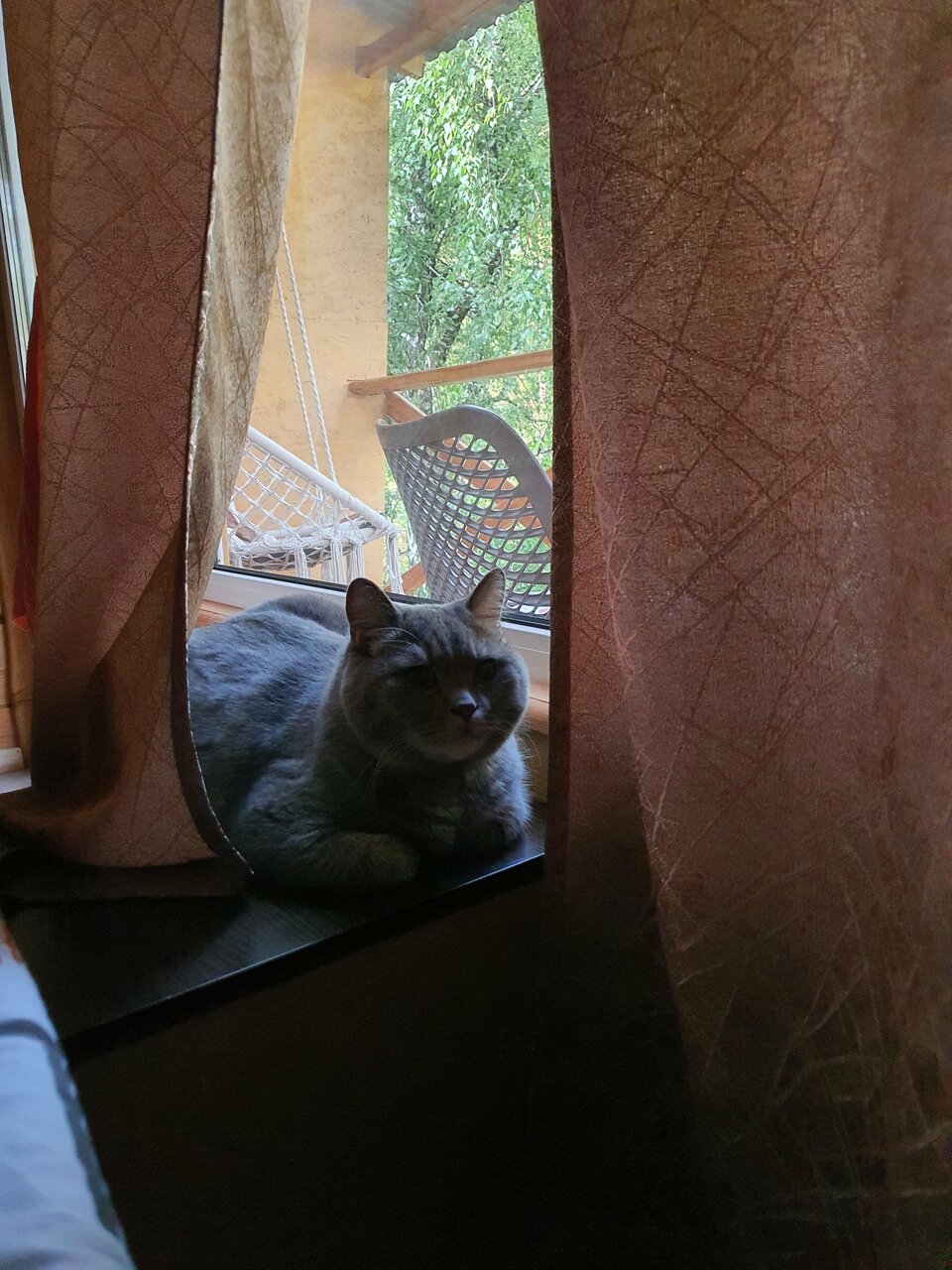 Гостиница Усадьба Славная Чепош-194