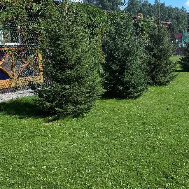 Гостиница Усадьба Славная Чепош-150