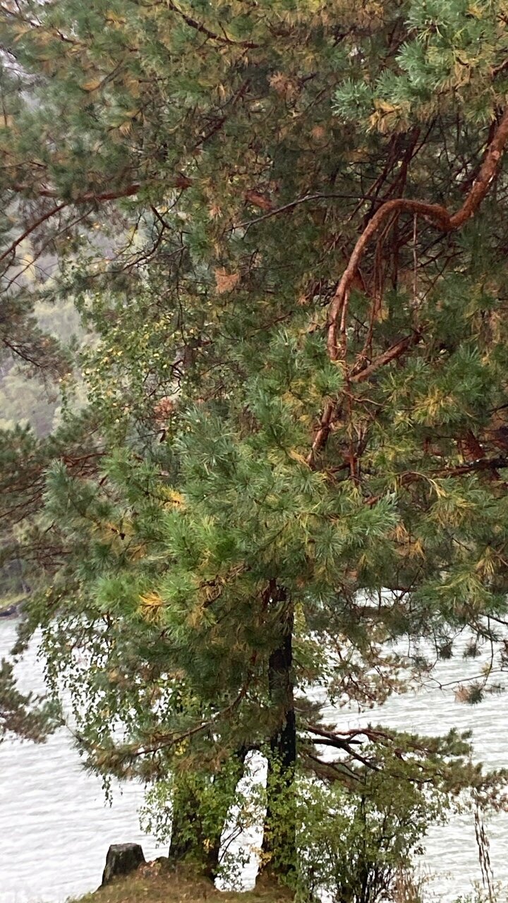 Гостиница Усадьба Славная Чепош-93