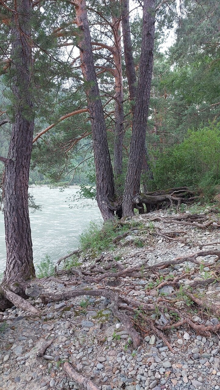 Гостиница Усадьба Славная Чепош-181