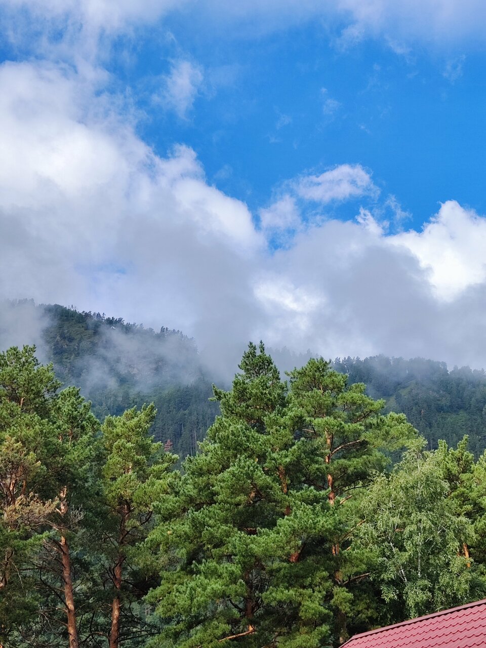 Гостиница Усадьба Славная Чепош-72