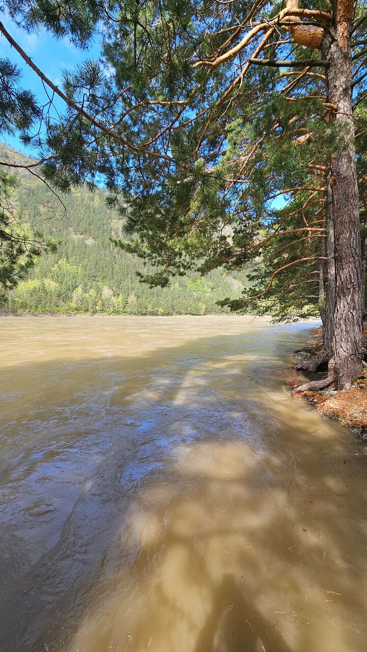 Гостиница Усадьба Славная Чепош-113