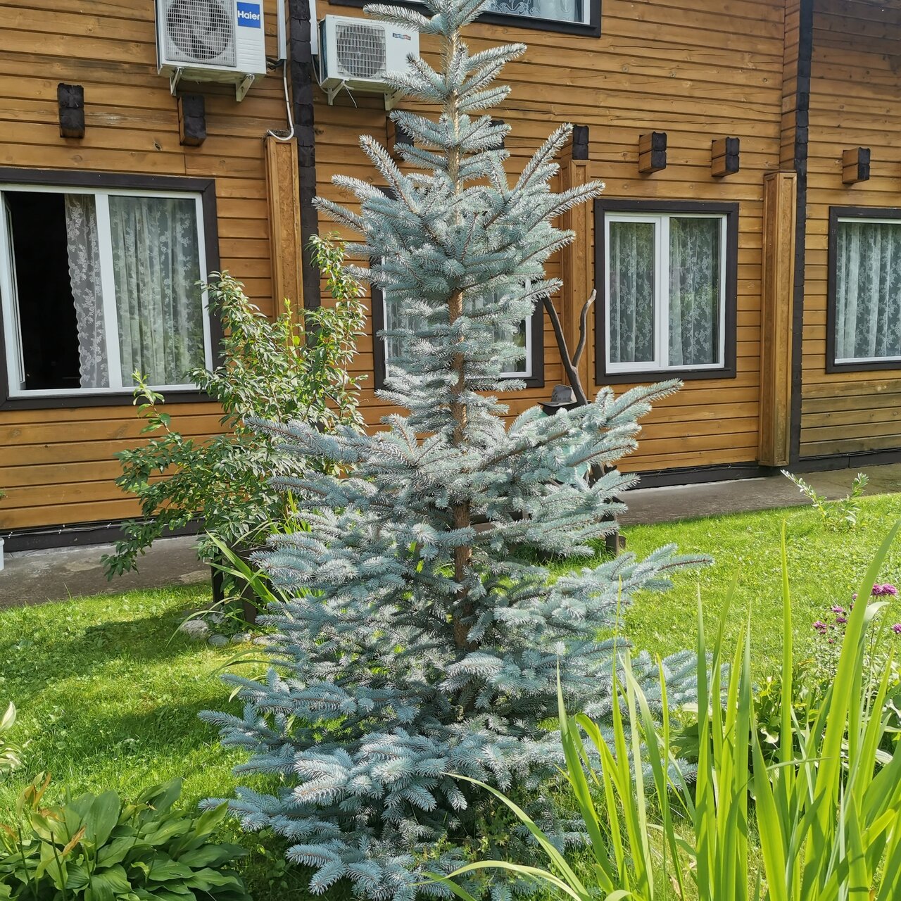 Гостиница Усадьба Славная Чепош-31