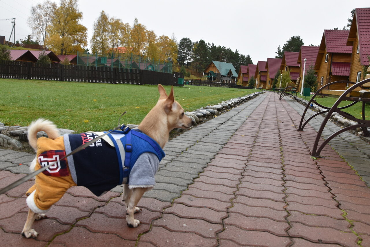 Гостиница Усадьба Славная Чепош-23