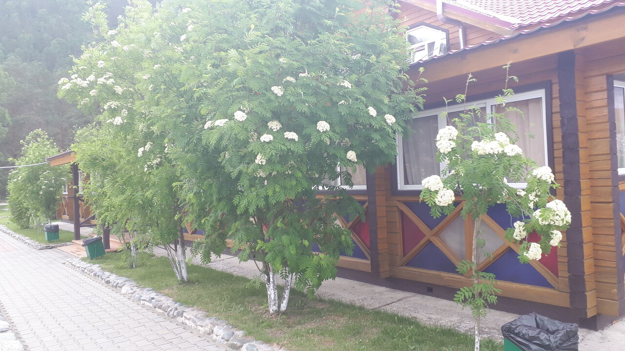 Гостиница Усадьба Славная Чепош-190