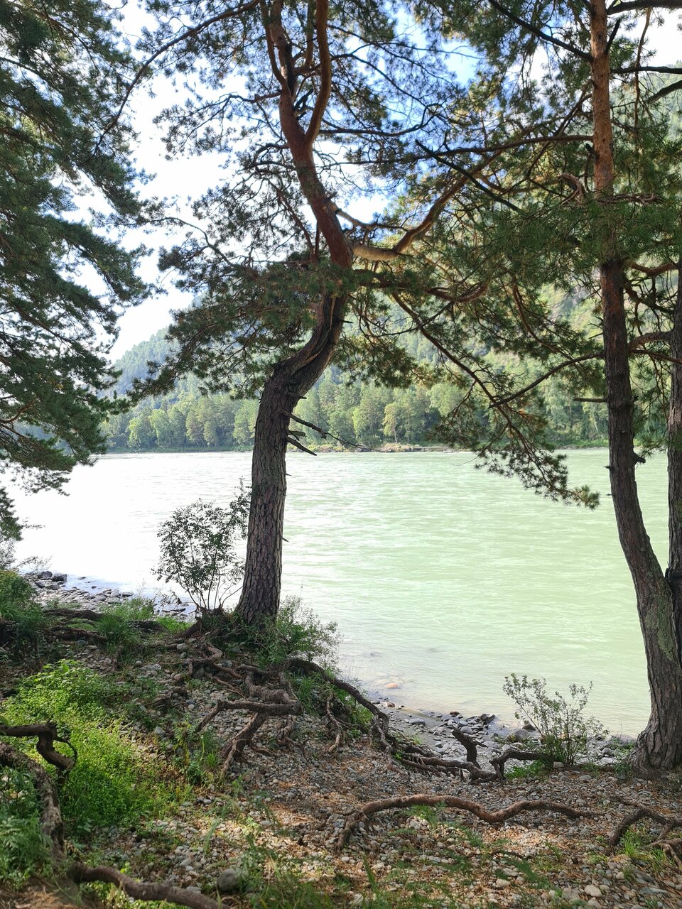 Гостиница Усадьба Славная Чепош-236