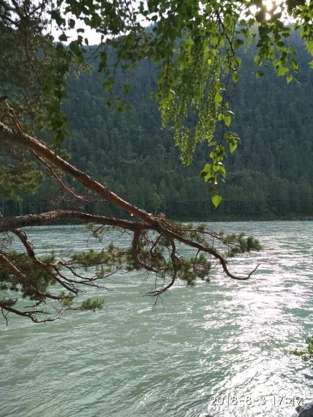 Гостиница Усадьба Славная Чепош-199