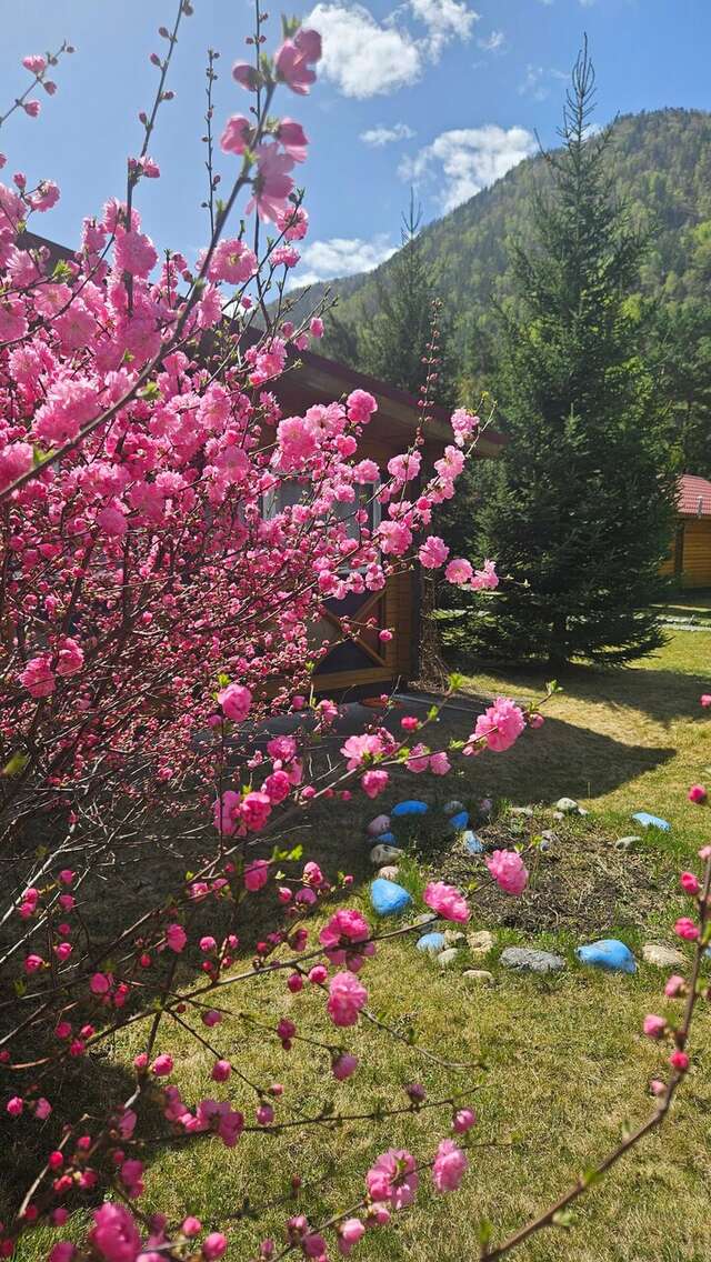 Гостиница Усадьба Славная Чепош-19