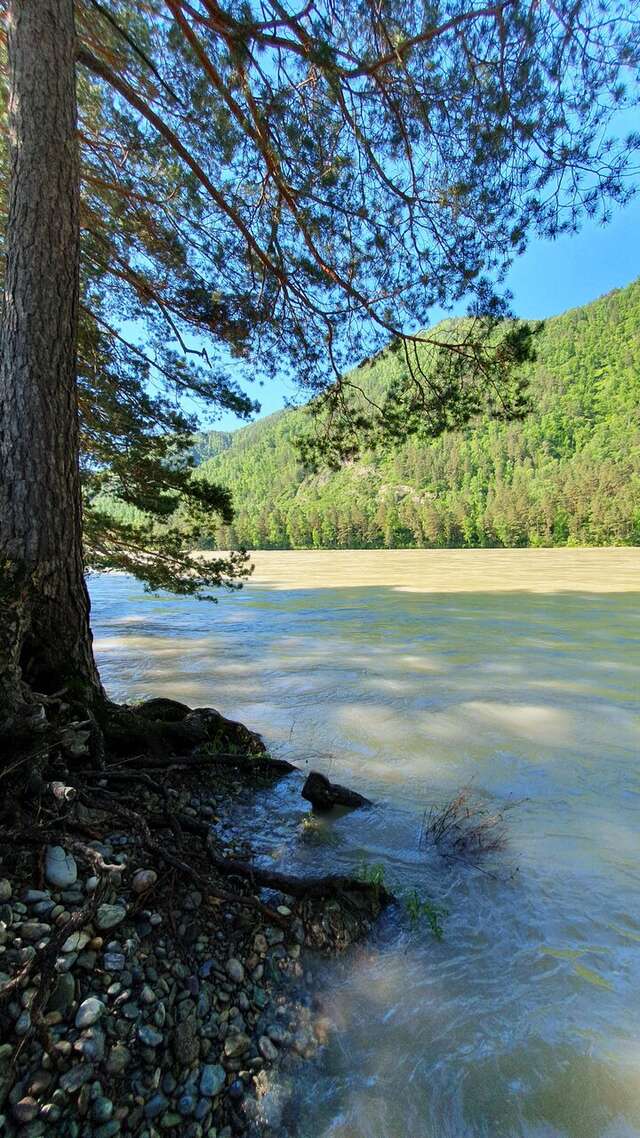 Гостиница Усадьба Славная Чепош-229