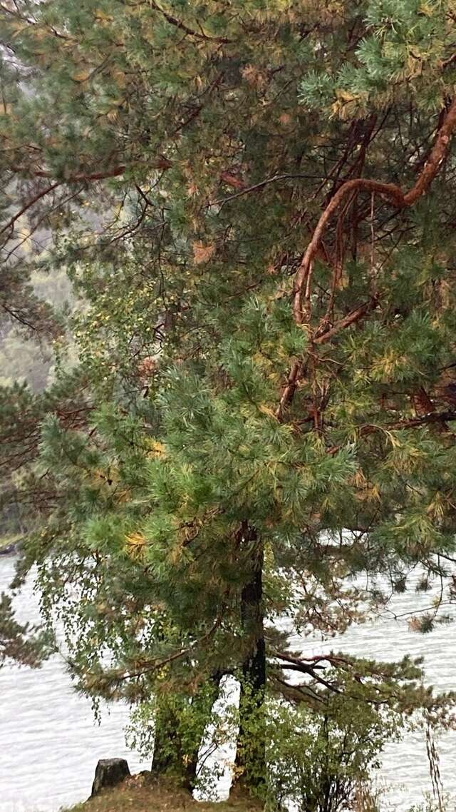 Гостиница Усадьба Славная Чепош-92