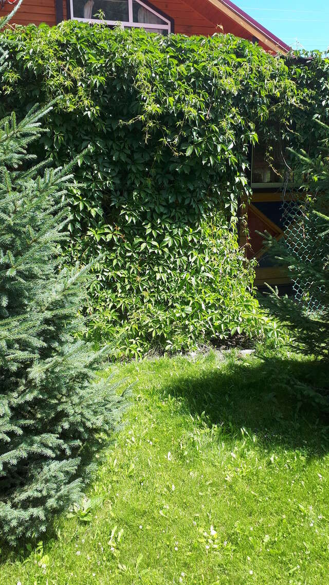 Гостиница Усадьба Славная Чепош-203