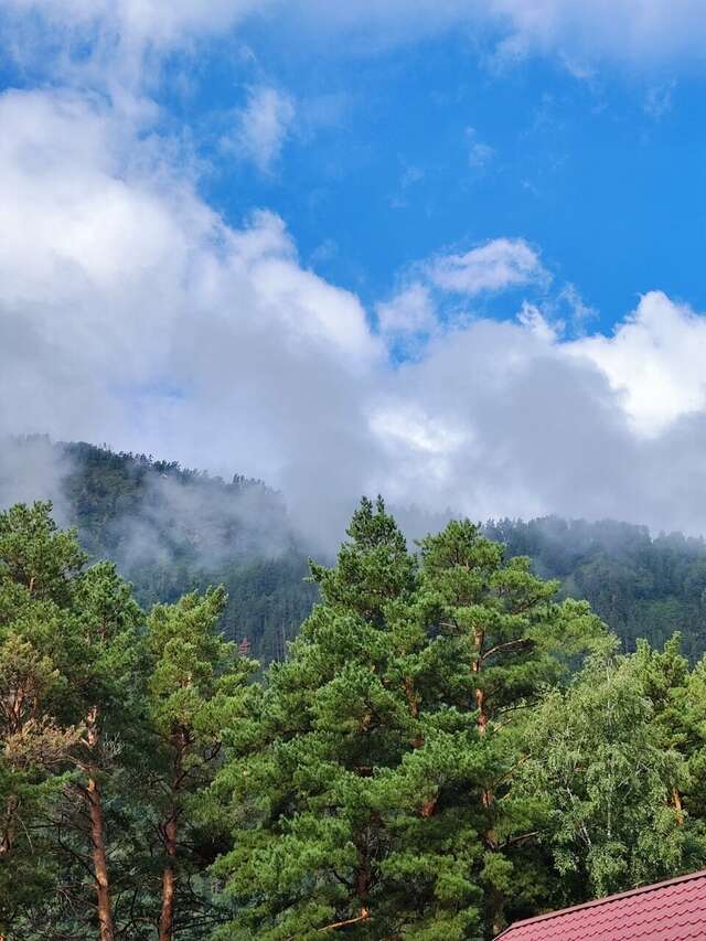 Гостиница Усадьба Славная Чепош-71