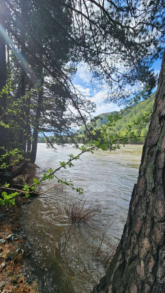 Гостиница Усадьба Славная Чепош-242