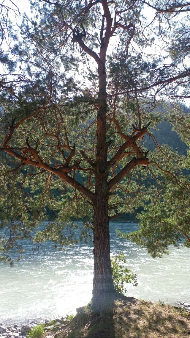 Гостиница Усадьба Славная Чепош-160