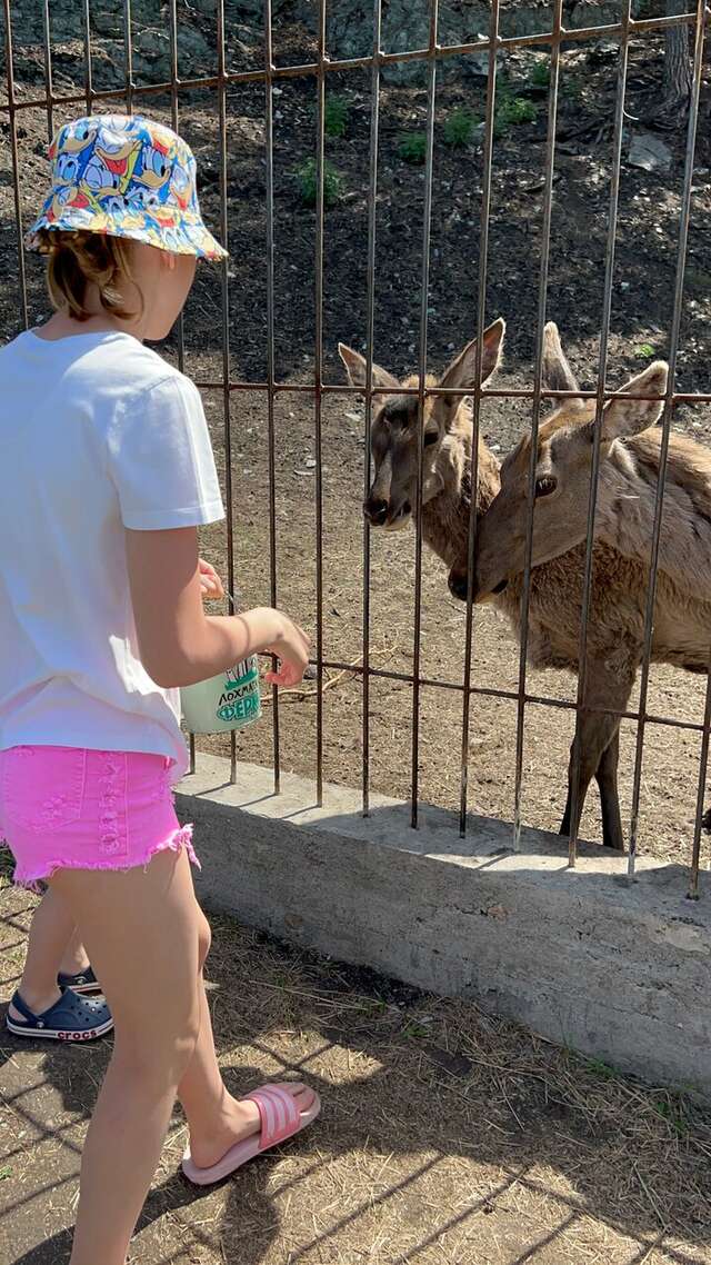 Гостиница Усадьба Славная Чепош-82