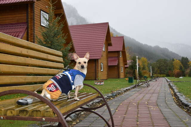 Гостиница Усадьба Славная Чепош-141