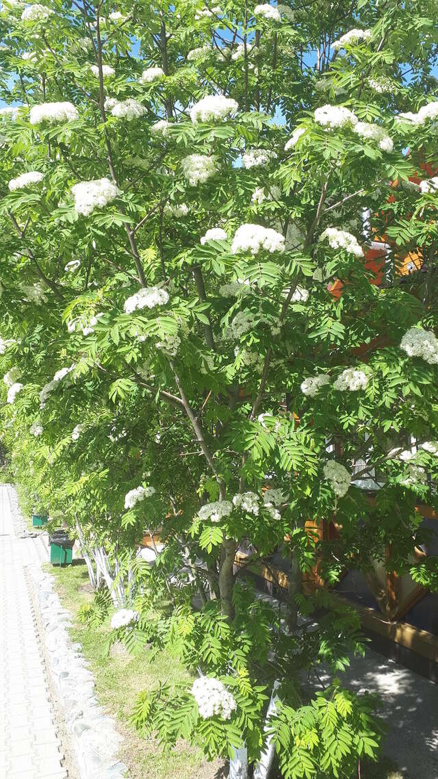 Гостиница Усадьба Славная Чепош-39