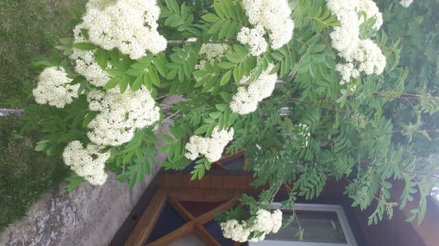 Гостиница Усадьба Славная Чепош-131