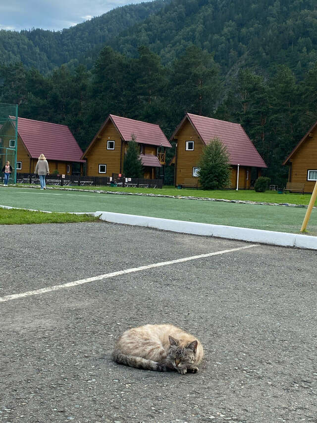 Гостиница Усадьба Славная Чепош-54