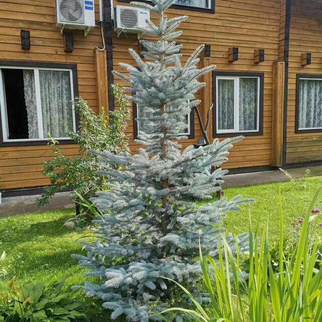 Гостиница Усадьба Славная Чепош-30