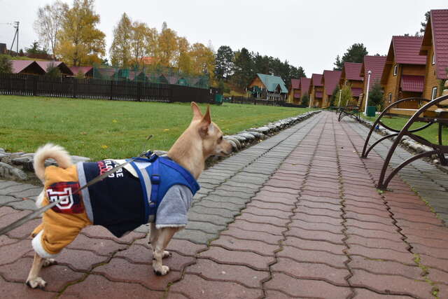 Гостиница Усадьба Славная Чепош-22