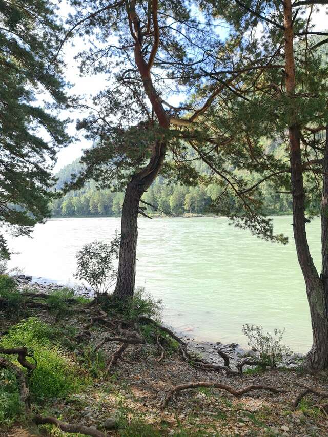 Гостиница Усадьба Славная Чепош-235